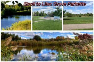 Nearby Lilac Grove Park with walking trails, open green space, and scenic ponds.